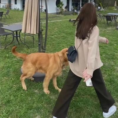 永远的朱迪·布鲁姆